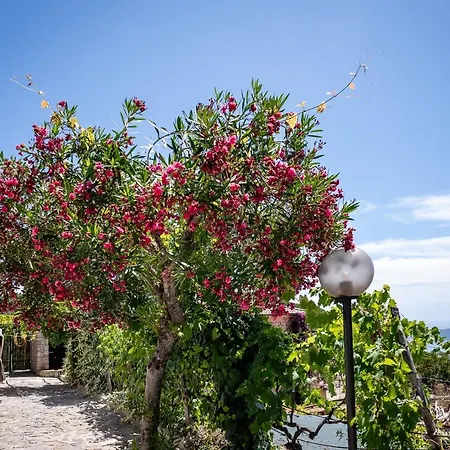 Casa Aniello Caprioli