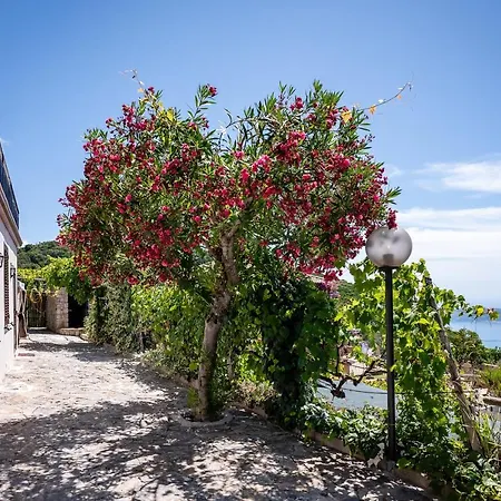 Villa Casa Aniello *